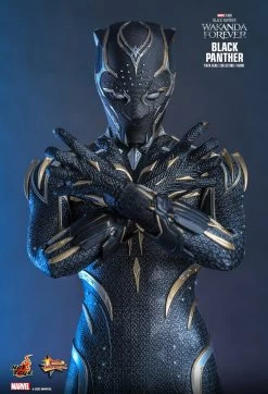 Hot Toys Black Panther 2: Wakanda Forever - Black Panther 1/6 Scale Figure