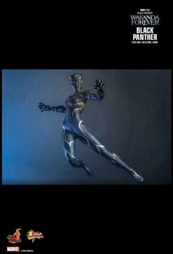 Hot Toys Black Panther 2: Wakanda Forever - Black Panther 1/6 Scale Figure -Toy Store PD1667968801C4W