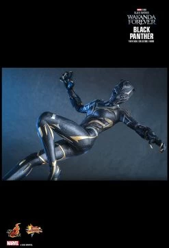 Hot Toys Black Panther 2: Wakanda Forever - Black Panther 1/6 Scale Figure -Toy Store PD1667968801h0E