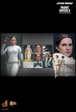 Hot Toys Star Wars: Attack Of The Clones - Padme Amidala 1/6 Scale Figure -Toy Store PD1670911520vfC