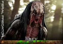 Hot Toys Prey - Feral Predator 1/6 Scale Figure -Toy Store feral predator sixth scale figure by hot toys predator gallery 6537f48a0b977