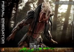 Hot Toys Prey - Feral Predator 1/6 Scale Figure -Toy Store feral predator sixth scale figure by hot toys predator gallery 6537f4b4119dc