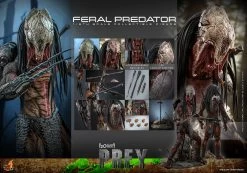 Hot Toys Prey - Feral Predator 1/6 Scale Figure -Toy Store feral predator sixth scale figure by hot toys predator gallery 6537f4b5390b9