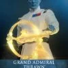 Hot Toys Star Wars - Grand Admiral Thrawn 1/6 Scale Figure -Toy Store grand admiral thrawn star wars gallery 653bd3a0d5583