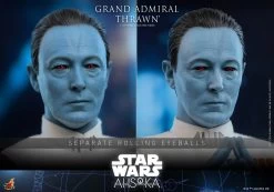 Hot Toys Star Wars - Grand Admiral Thrawn 1/6 Scale Figure -Toy Store grand admiral thrawn star wars gallery 653bd3bcc0367