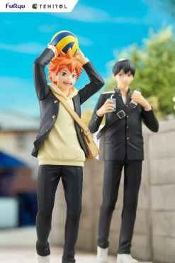 Haikyu!! Tenitol Hinata Shoyo -Toy Store haikyu tenitol hinata shoyo 105649 0ac47