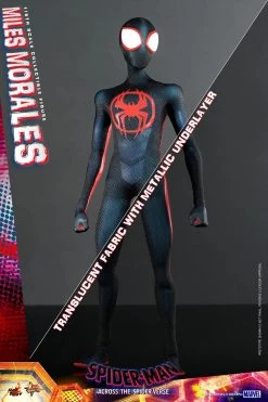 Hot Toys Spider-Man: Across The Spider-Verse - Miles Morales 1/6 Scale Figure -Toy Store miles morales marvel gallery 646e46c8adb88